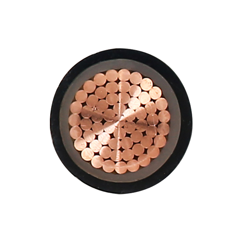 EV kabel za punjenje za nazivni napon 450/750V