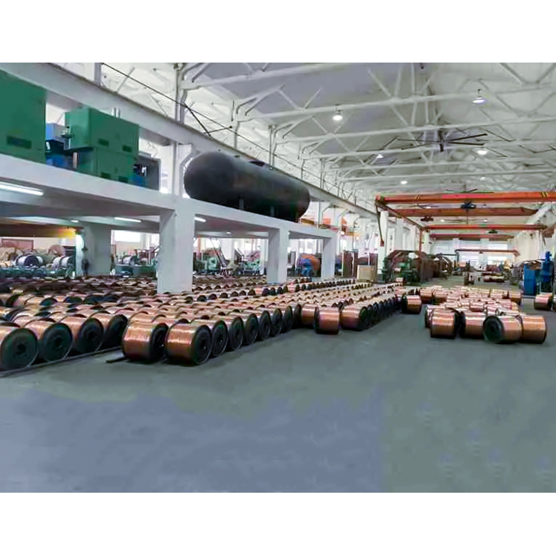 XLPE/PVC izolirani kabel (žica) Nazivni napon do i uključujući 450/750 V